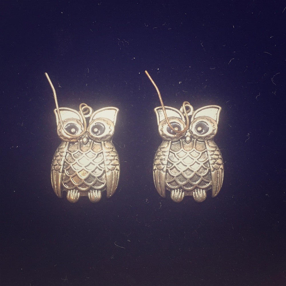 Silvertone and Black Hanging Owl Pierced Earrings